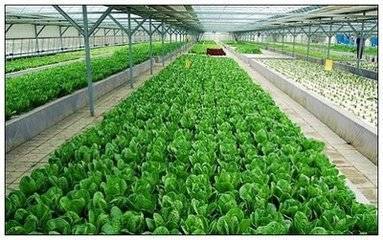 农业种植技术开发 微信小程序赋能现代农业