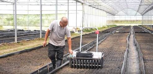 铜鼓林下黄精种植 以技术开发促青山变金山