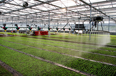 信阳市浉河区 步入乡村振兴“快车道”，农业种植技术开发引领新篇章