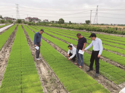 江苏南通 1600人下沉一线，农技智囊团田间地头为农业种植技术开发“把脉开方”