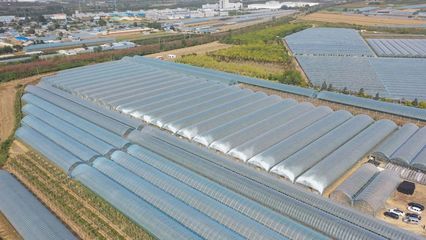 茗园现代农业 拓路前行，赢战龙年——农业种植技术开发新篇章