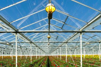 设施农业的未来已来 发展趋势与技术创新解析
