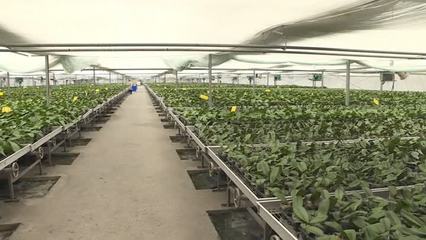 数字赋能新农业，镇江智慧农业交出2023高质量发展成绩单