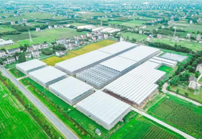 长三角农业一体化协作 从小餐桌到大业态，驶入发展“快车道”