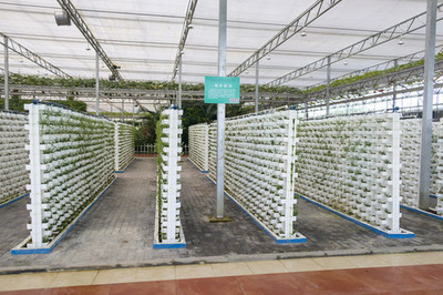 无土栽培技术在现代蔬菜基地的开发与应用前景