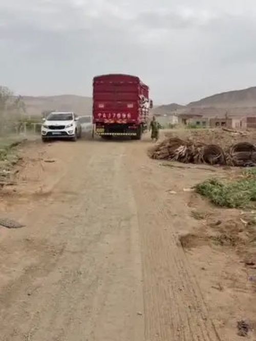 携手诚信科技，代言家乡滋味——全面支持三农发展，共创优质农产品新未来