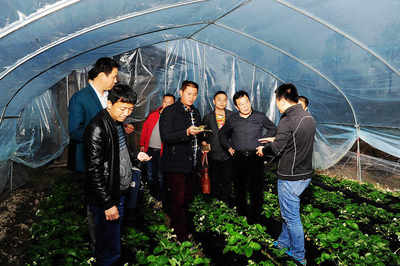 科技赋能，产业升级 湖南怀化引入先进农业技术破解种植难题