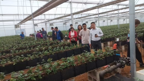 走进田间学校 沉浸式体验绿色高效农业的“花花世界”