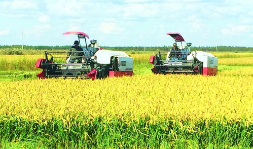 新农人 以技术革新开创农业种植新未来